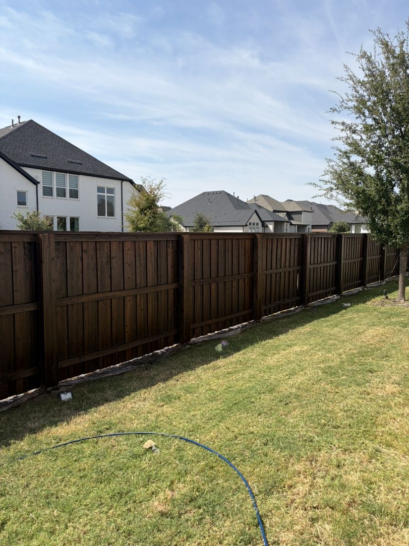 Backyard fence in dark brown stain with a tree